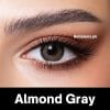 Almond Gray
