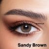 Sandy Brown