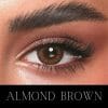 Almond Brown